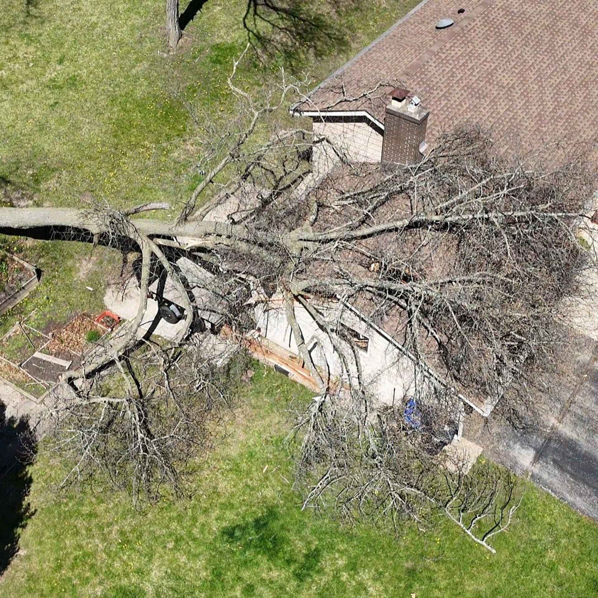 Emergency tree removal after fallen tree on house in Southeast Wisconsin – Husky Tree Services