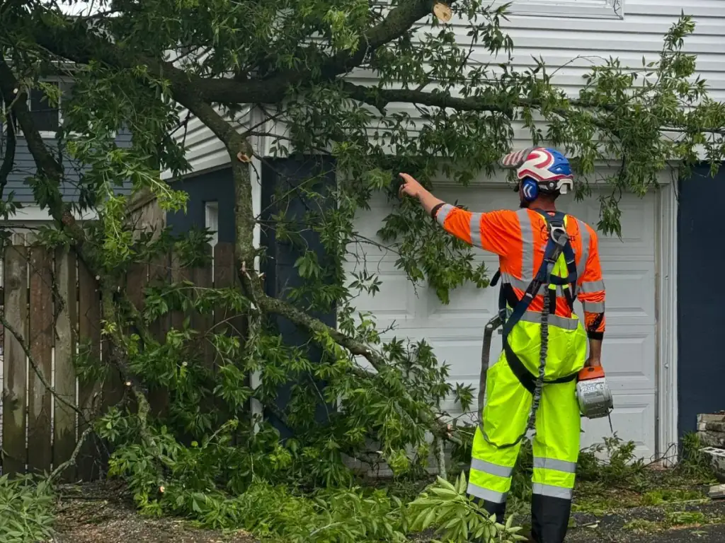 Husky Tree Services arborist assessing a storm-damaged tree beside a garage