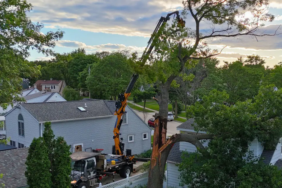 Effer 225 Grapple Saw Truck