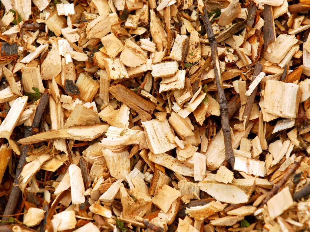 Free Wood Chips