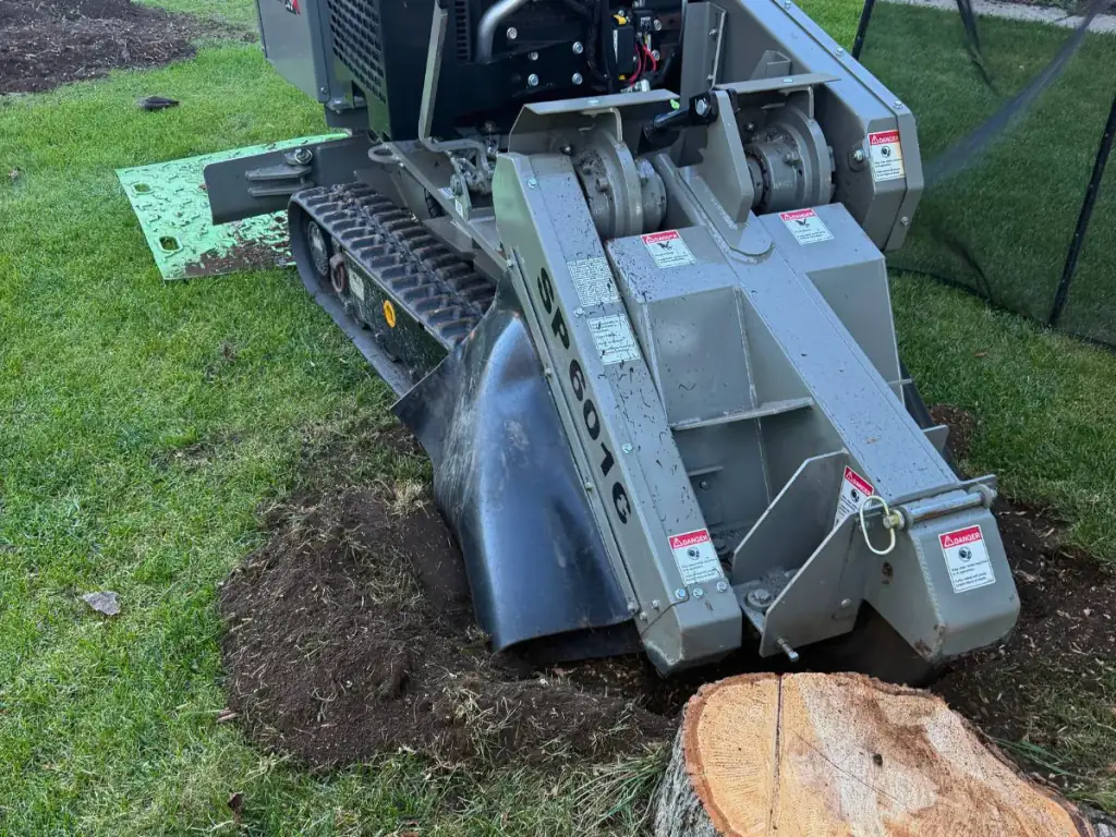 Stump grinder grinding a tree stump below grade